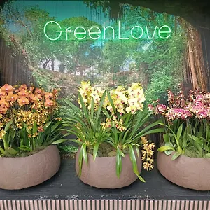 https://green-rooms.sopothotels.com